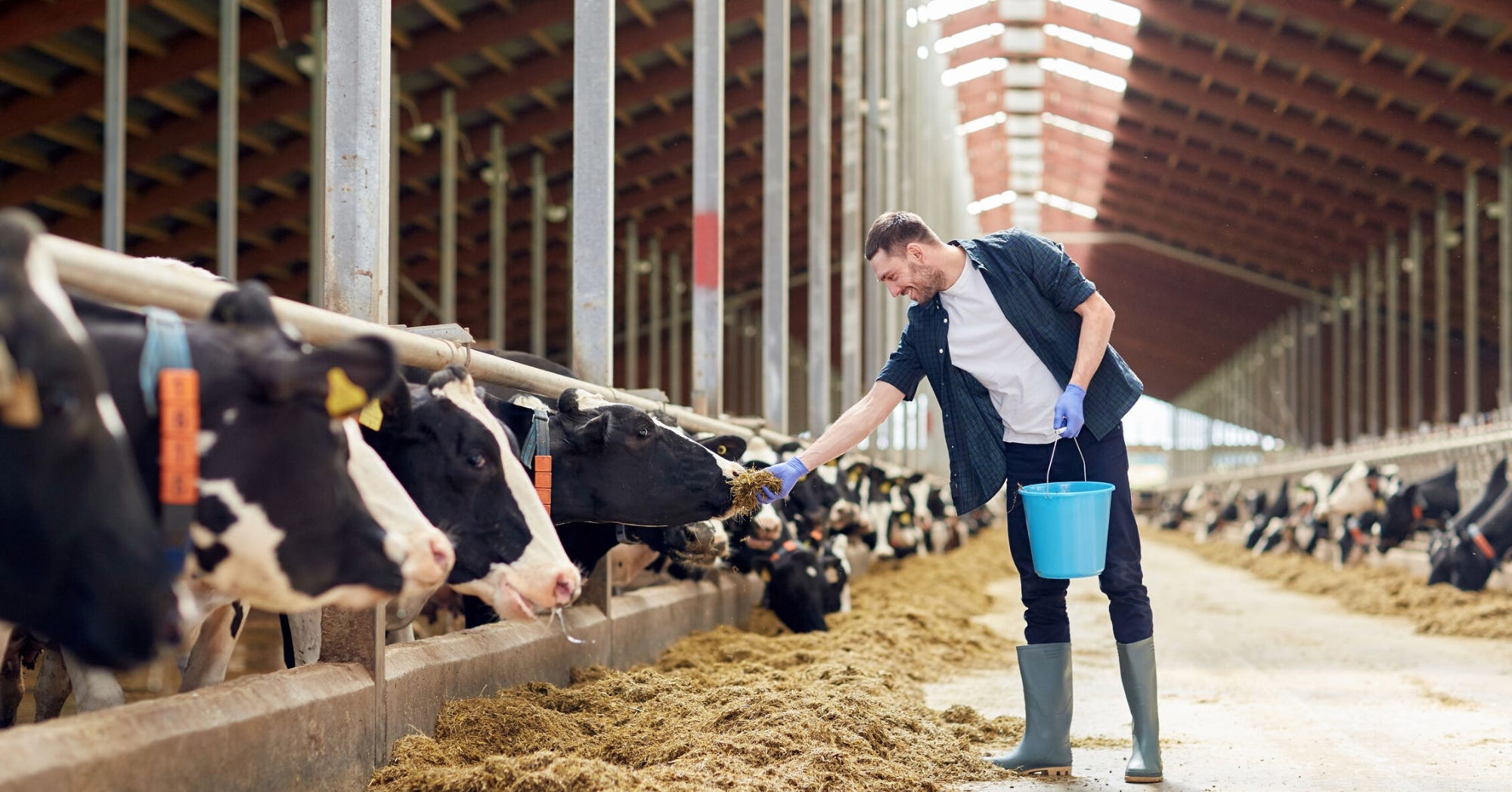 Concrete solutions for farms